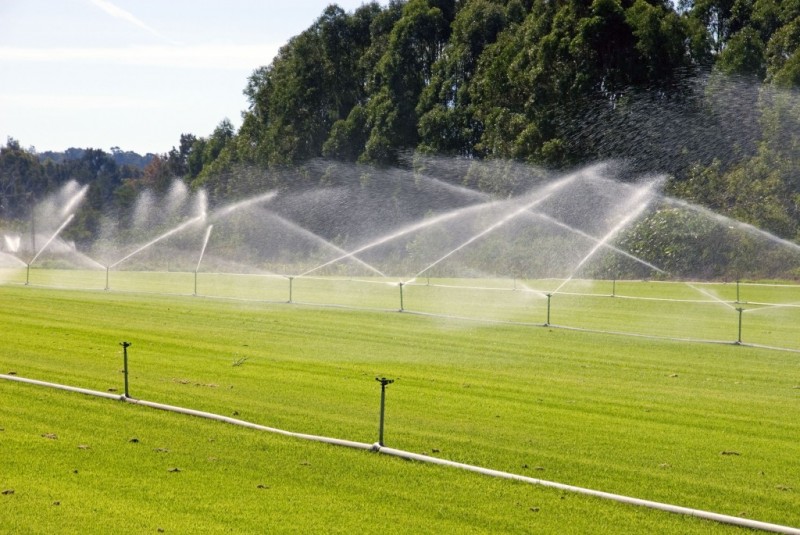 The Advantages of Professional Sprinkler System Installation in Boulder CO