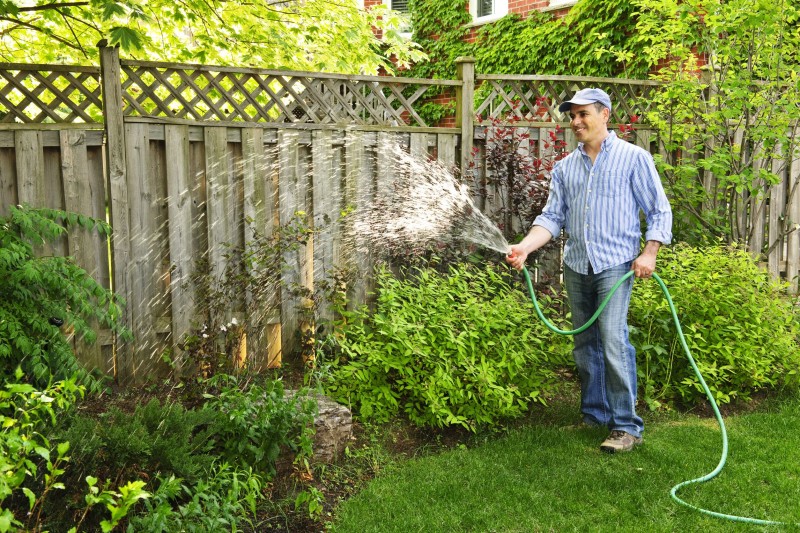 Hiring A Tree Service In Spokane