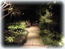 3 Ideas for Backyard. Landscape Lighting in Wichita, Kansas